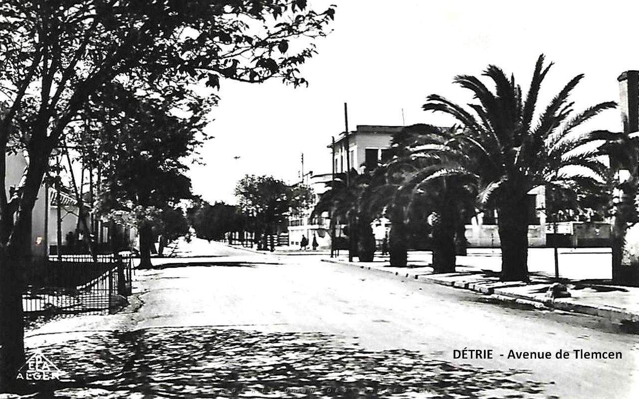Detrie - Avenue de Tlemcen.jpg